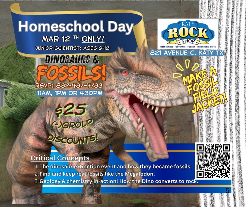 Dinosaurs and Fossils Class