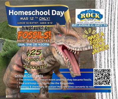 Dinosaurs and Fossils Class