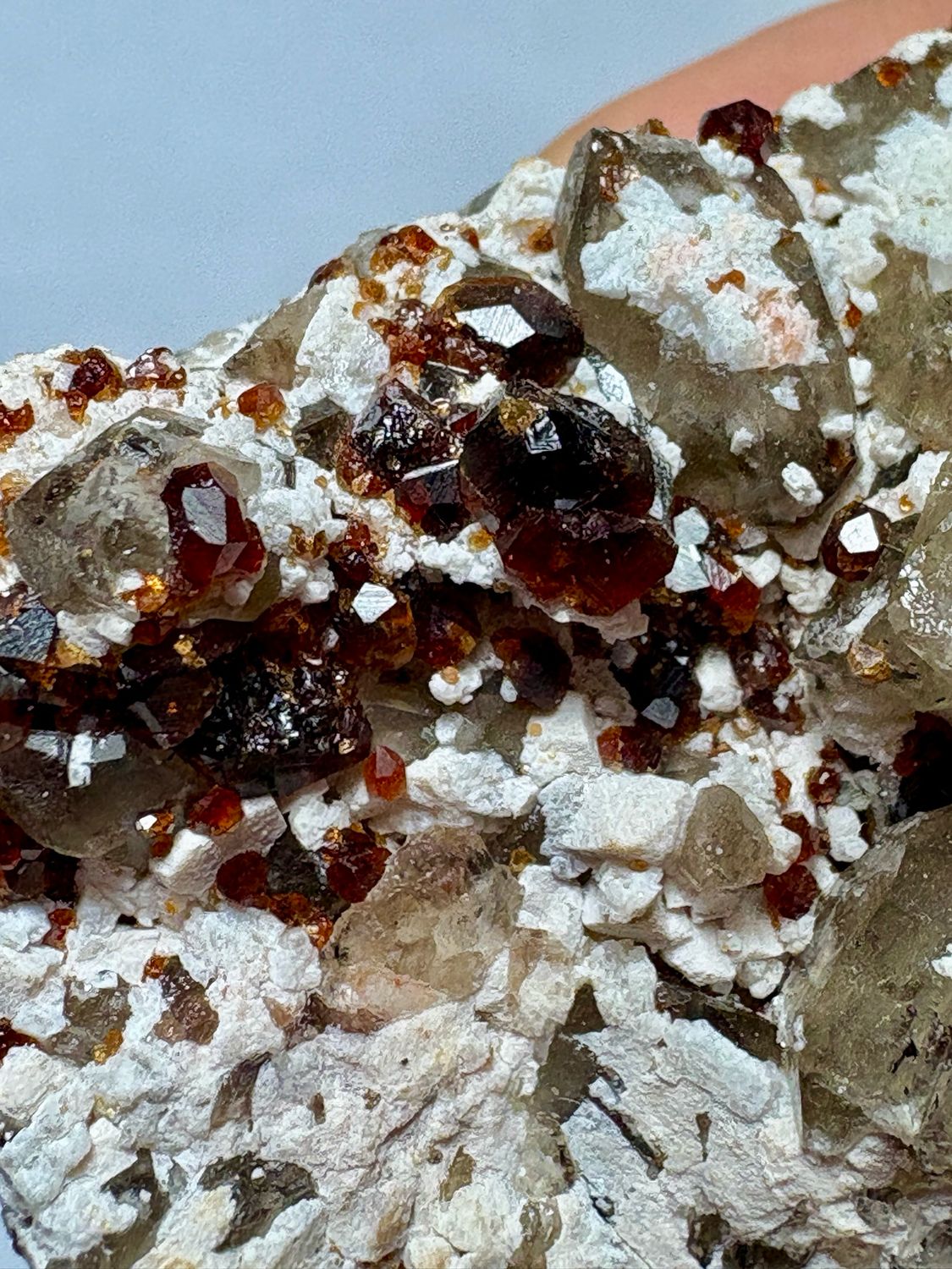 Almandine Garnet in Smoky Quartz