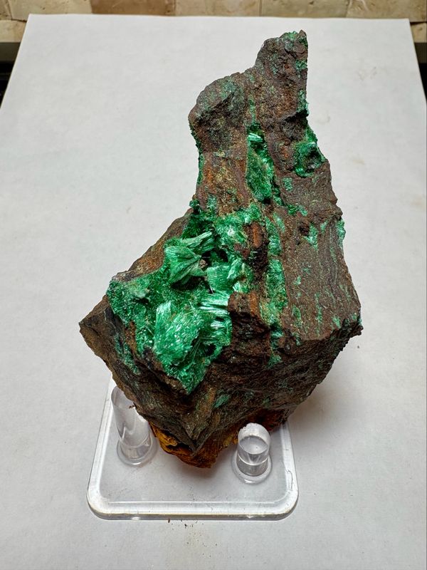 Malachite (Chatoyant)  290g