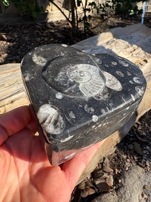 fossil jewelry box heart Large