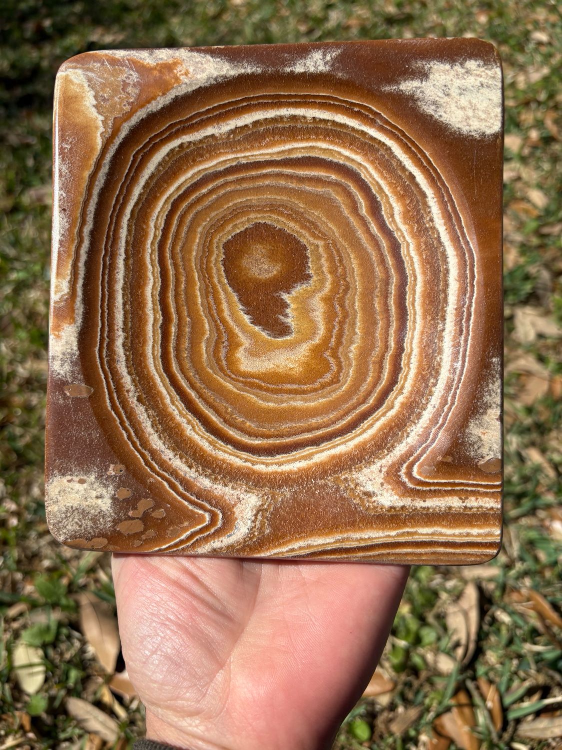 aragonite dish plate