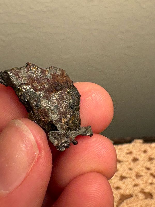 Sericho Pallasite Meteorite 4.9g
