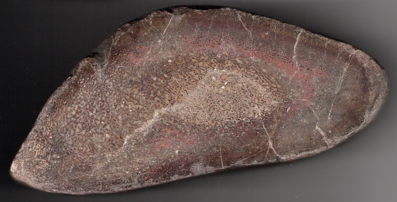 Gem Bone