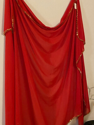 Red And Gold Chiffon Veil