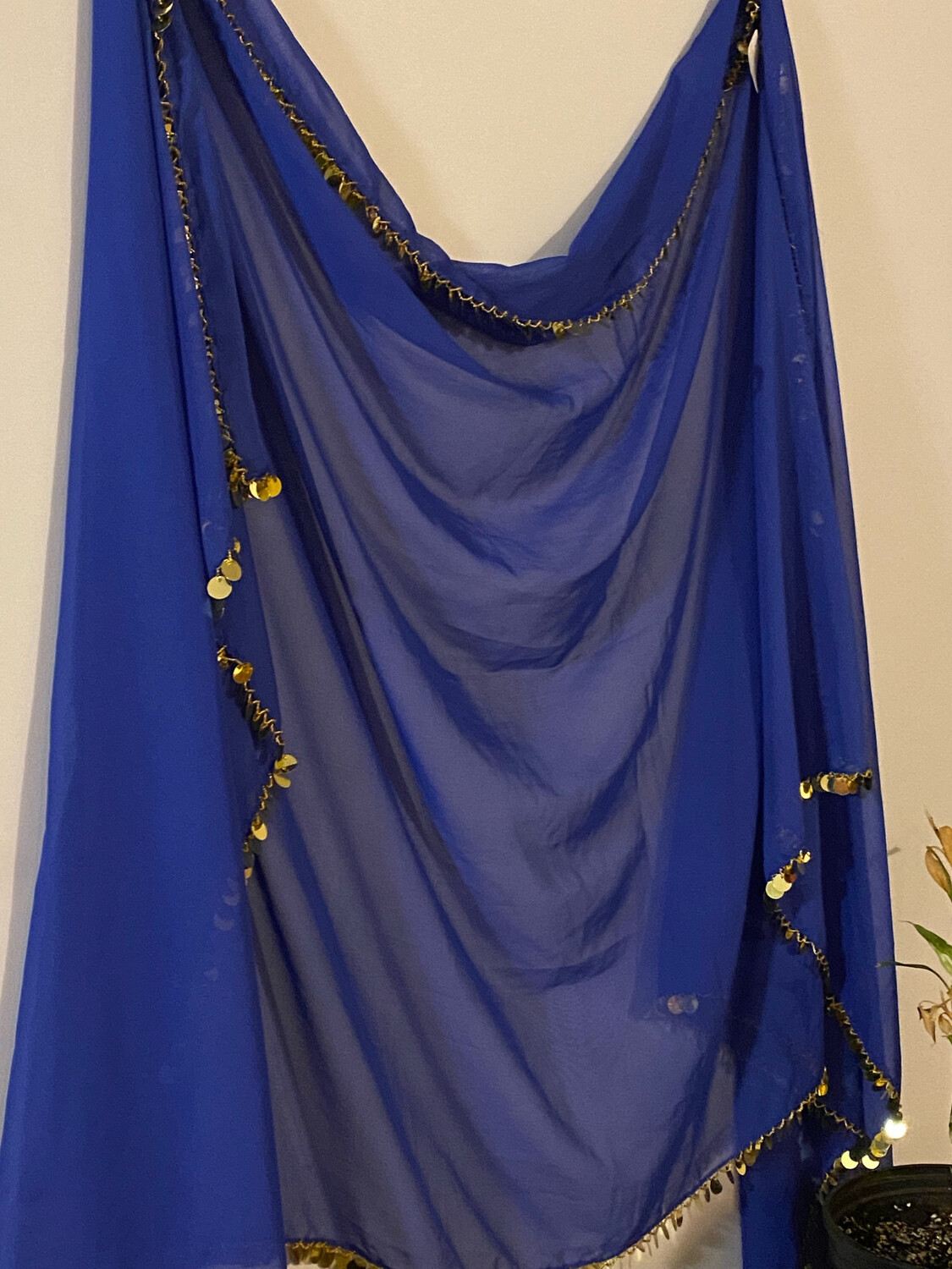Royal Blue and Gold Chiffon Veil