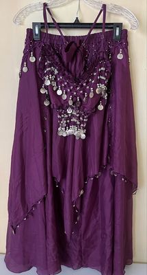 Purple Beginner Level Coin Tie Top And Skirt