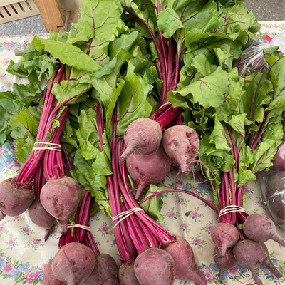 Beet Red 