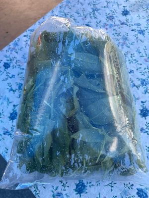 Spinach Large