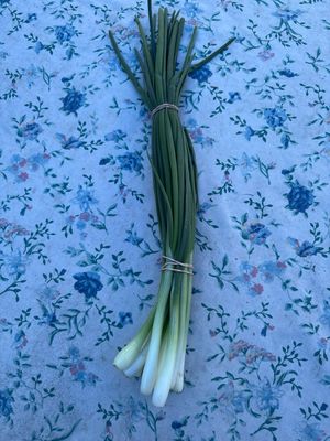 Green Onions