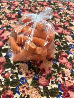 Orange Carrot Small Baby