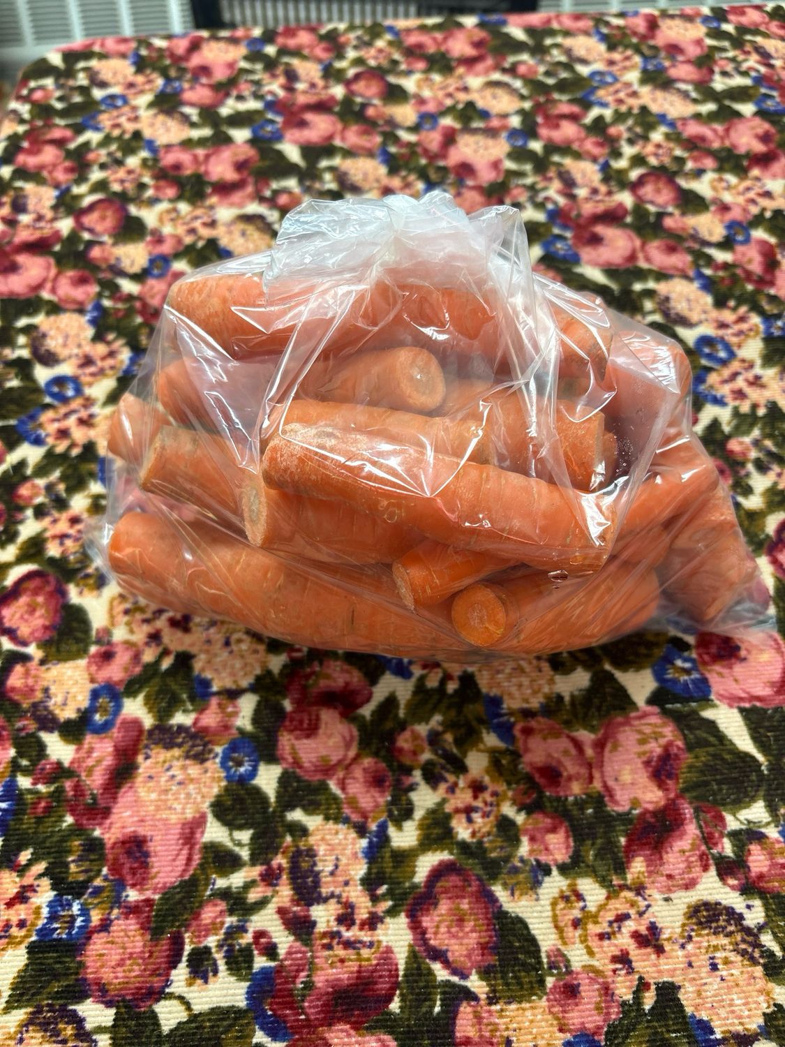 Orange Carrot Medium