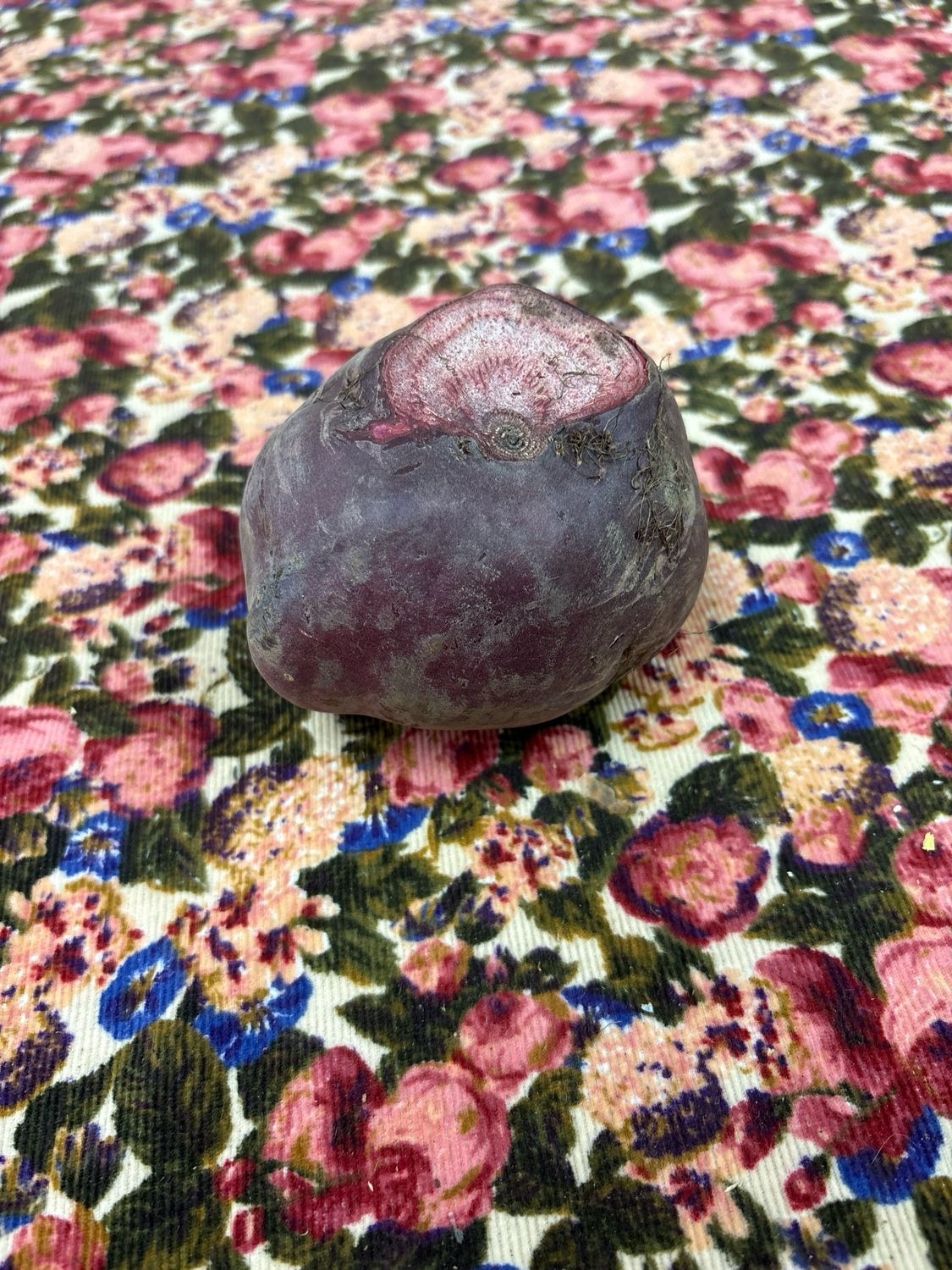 Beets Red Single Beets Red Single