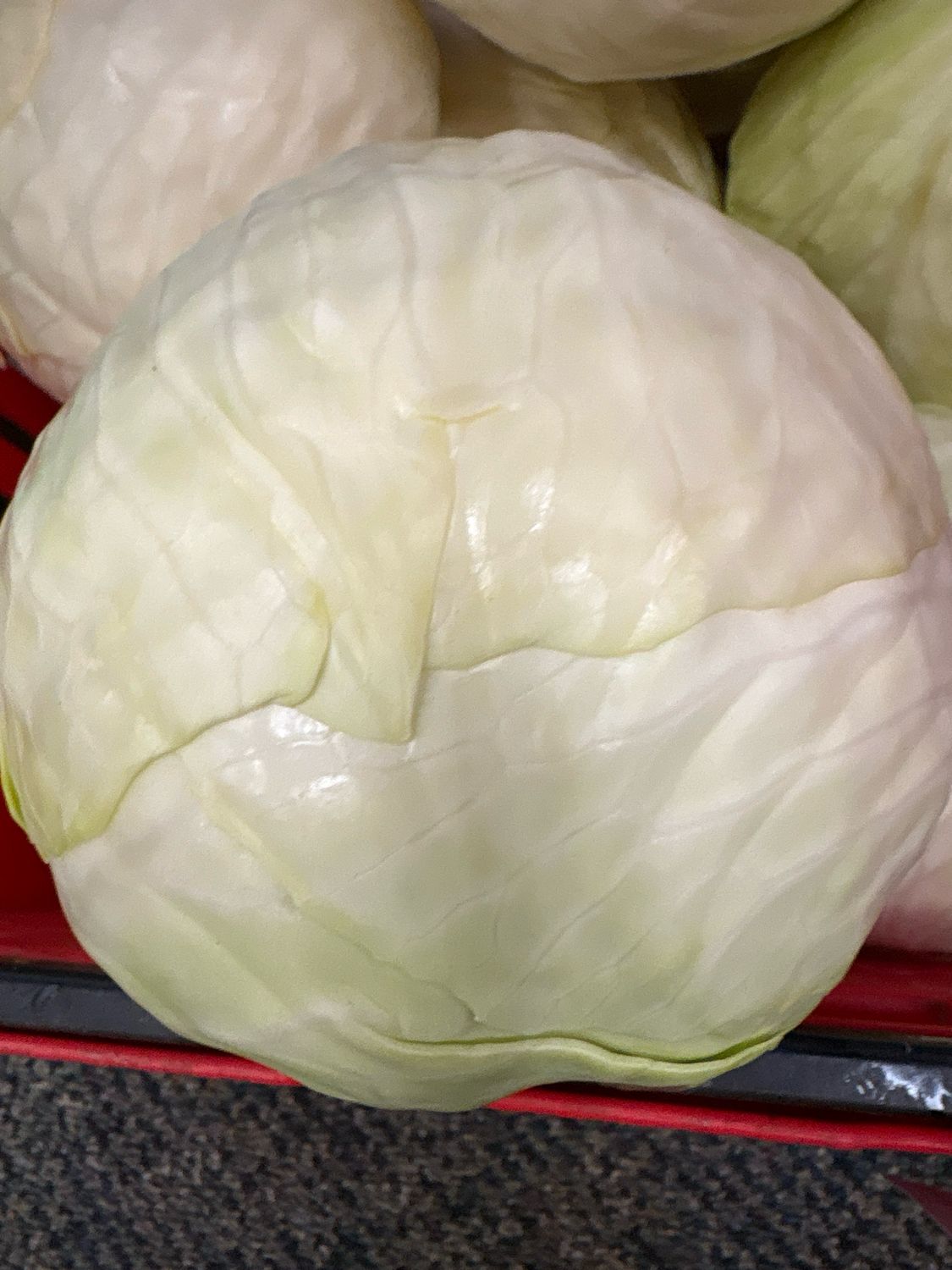 Cabbage Green Cabbage Green