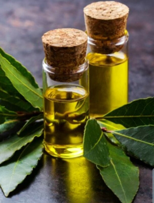 Bay Leaf Essential Oil (1oz)