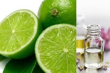 Persian Lime Essential Oil (2oz)