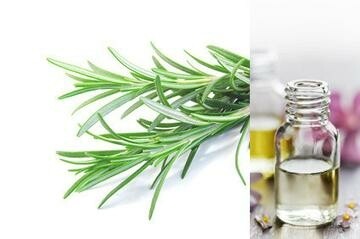 Rosemary Essential Oil (2oz)