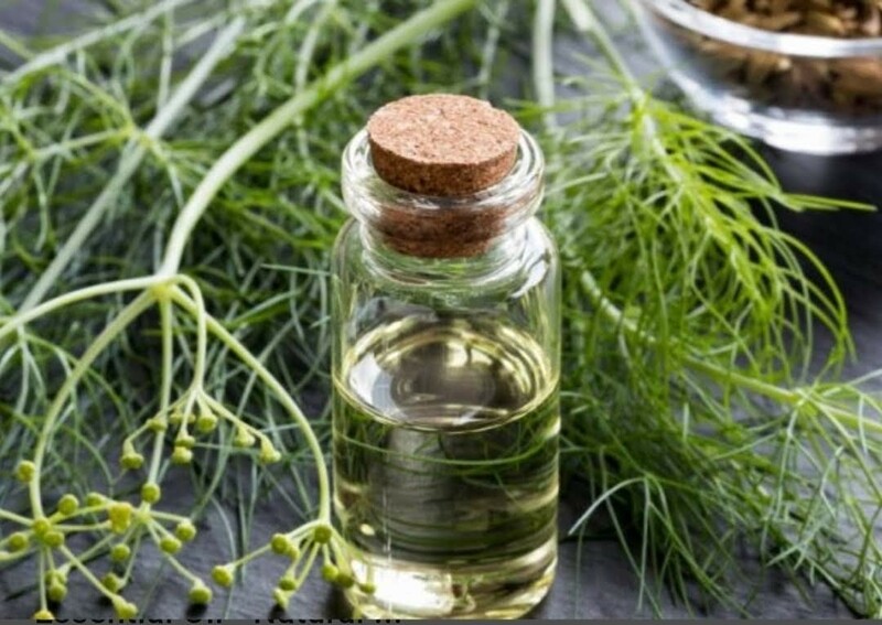 Sweet Fennel Essential Oil  (2oz)