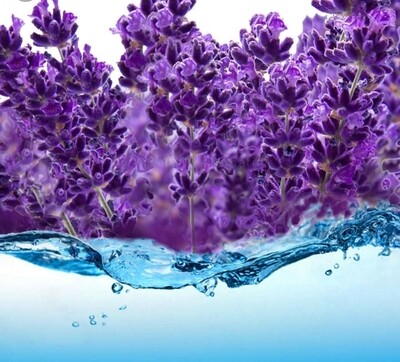 Lavender Flower Water (4ozs)