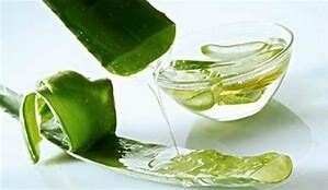 Aloe Vera Oil (lb)