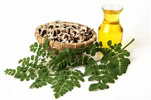 Moringa Oil (2oz)