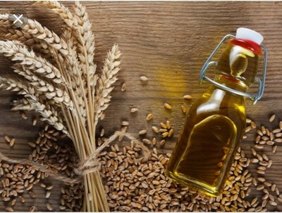 Wheat germ Oil (lb)