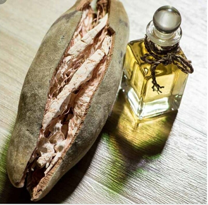 Boabab Oil (2oz)