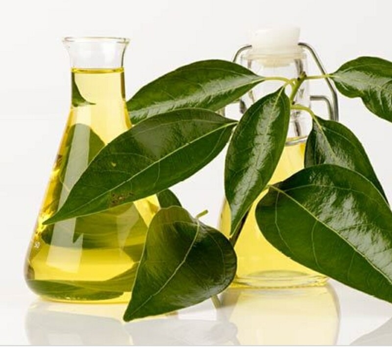 Camphor Essential Oil (2oz)