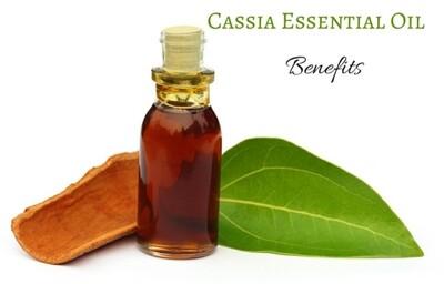 Cassia Essential Oil (2oz)