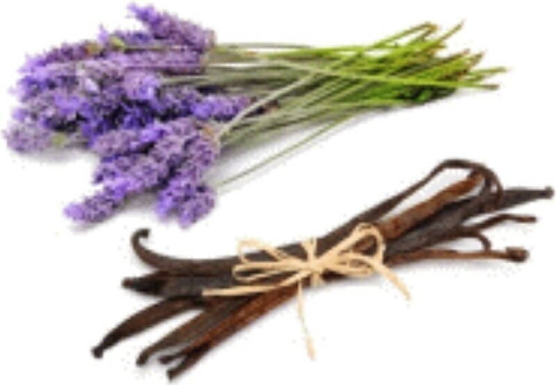 Lavender/Vanilla Fragrance Oil (2oz)