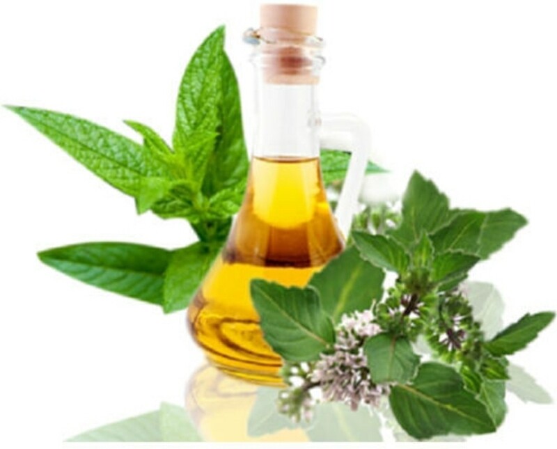 Peppermint Essential Oil/Arvensis (2oz)
