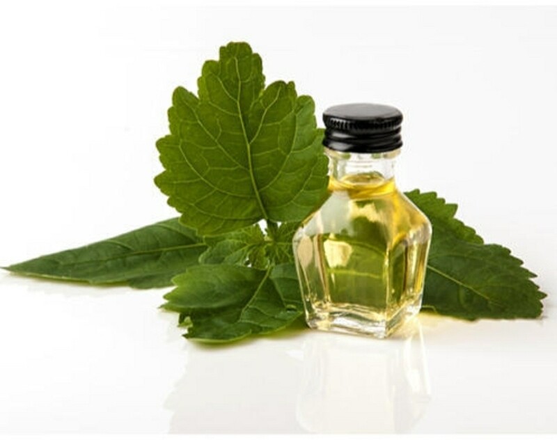 Patchouli Essential Oil (Light) (2oz)