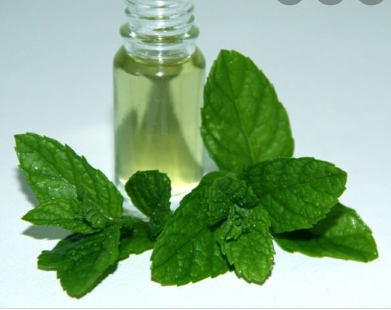 Peppermint Essential Oil/Piperita (2oz)
