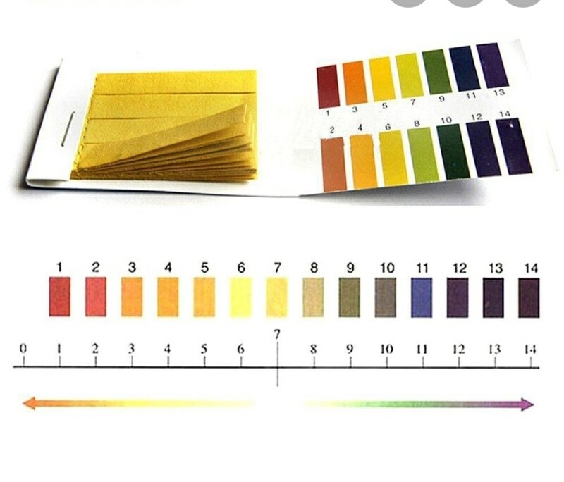 Ph Test strips (100&#39;s)