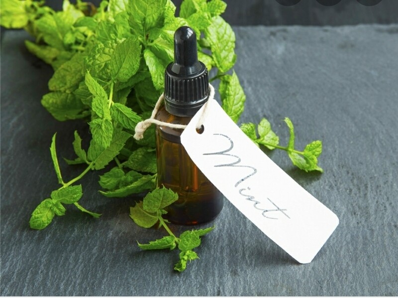 Purely Peppermint Fragrance Oil (2oz)