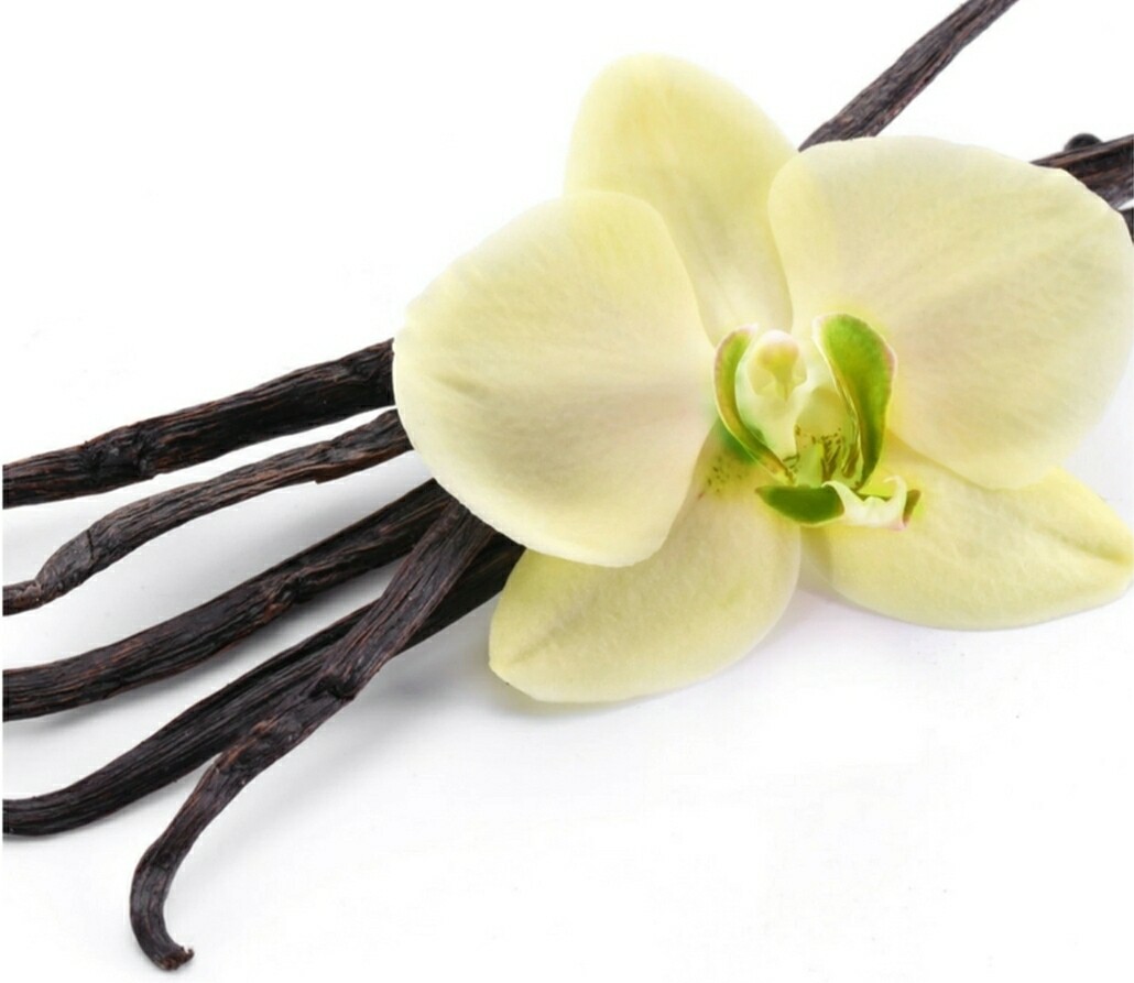 Vanilla Fragrance Oil (2oz)