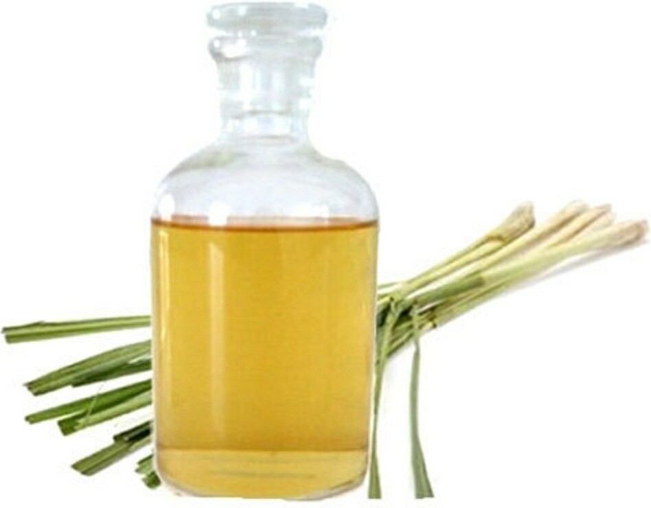 Citronella Essential Oil (2oz)