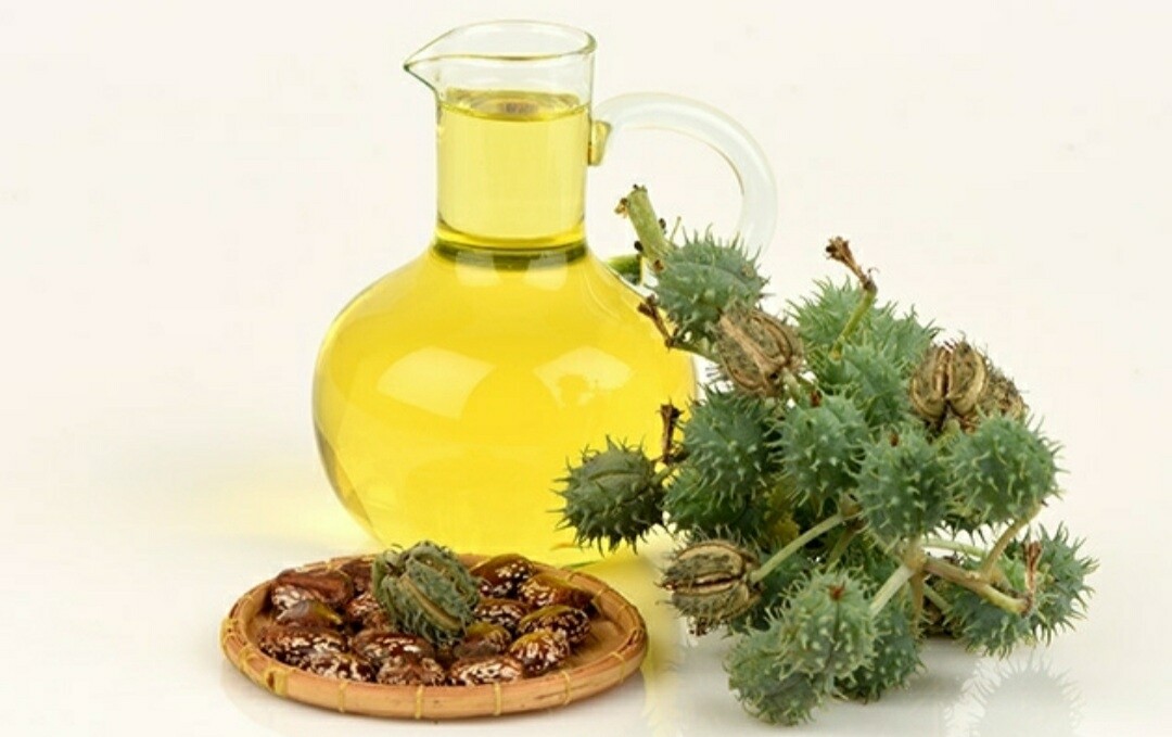 Castor Oil (1 Gallon/7.985lbs)