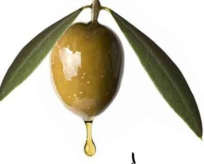 Squaline Oil - Olive (2ozs)