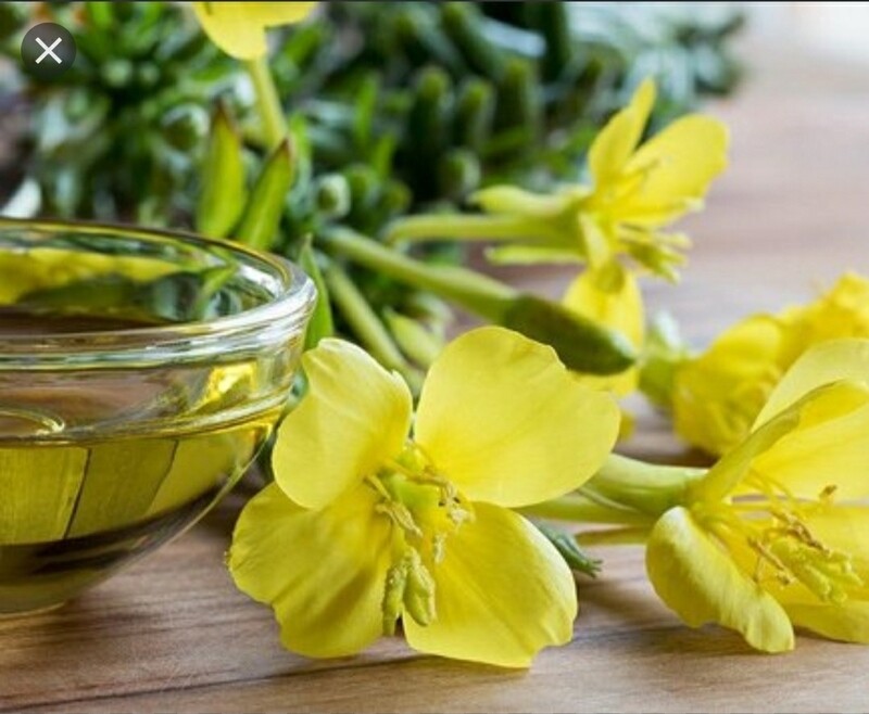 Evening Primrose Oil (4ozs)