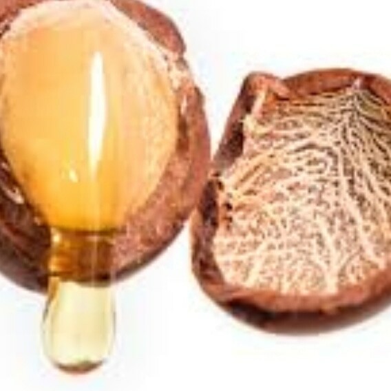 Shea Nut Oil (4oz)
