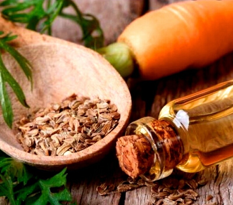 Carrot Seed Essential Oil - 1oz