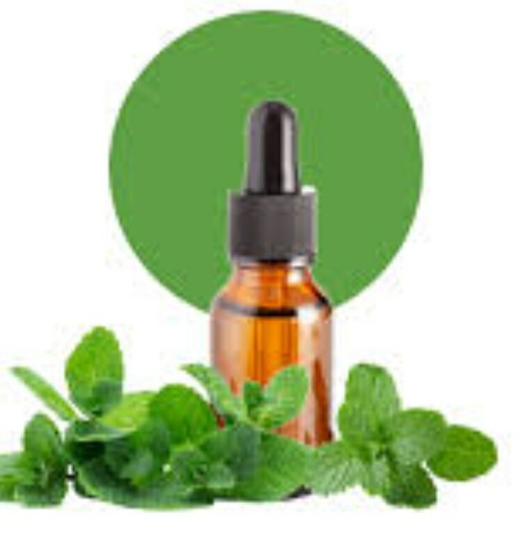 Spearmint Essential Oil (2oz)