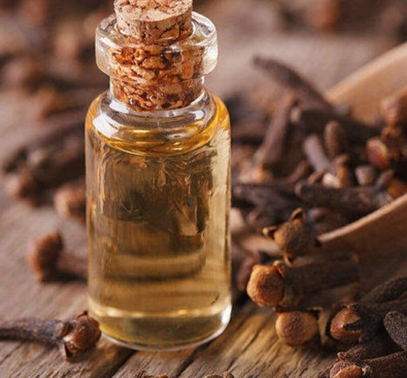 Clove Bud Oil (2ozs)