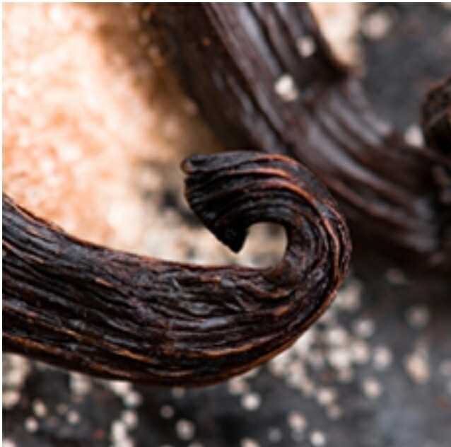 Vanilla Cream Fragrance Oil (2ozs)