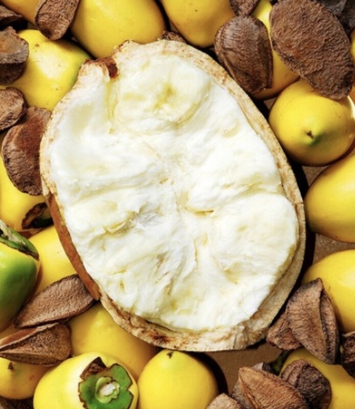 Cupuacu Butter (8ozs)