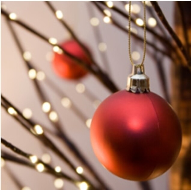 Christmas Eve Fragrance Oil (2oz)