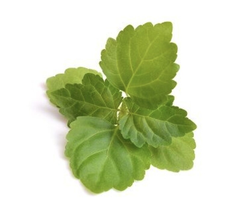 Patchouli Essential Oil (Organic) - 2ozs