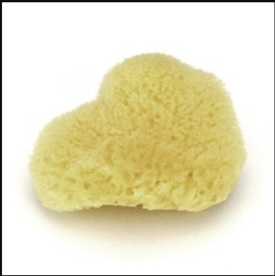 Sea Silk Cosmetic Sponge