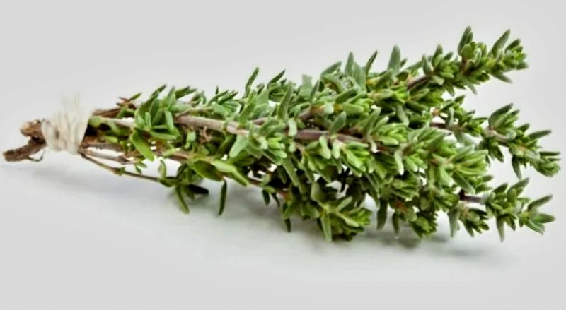 Thyme Oil - 1oz